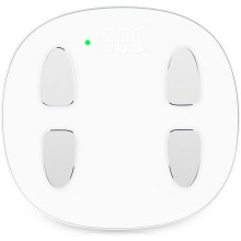 乐心智能体脂秤melody