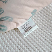 迪士尼·玩具总动员系列抱枕被